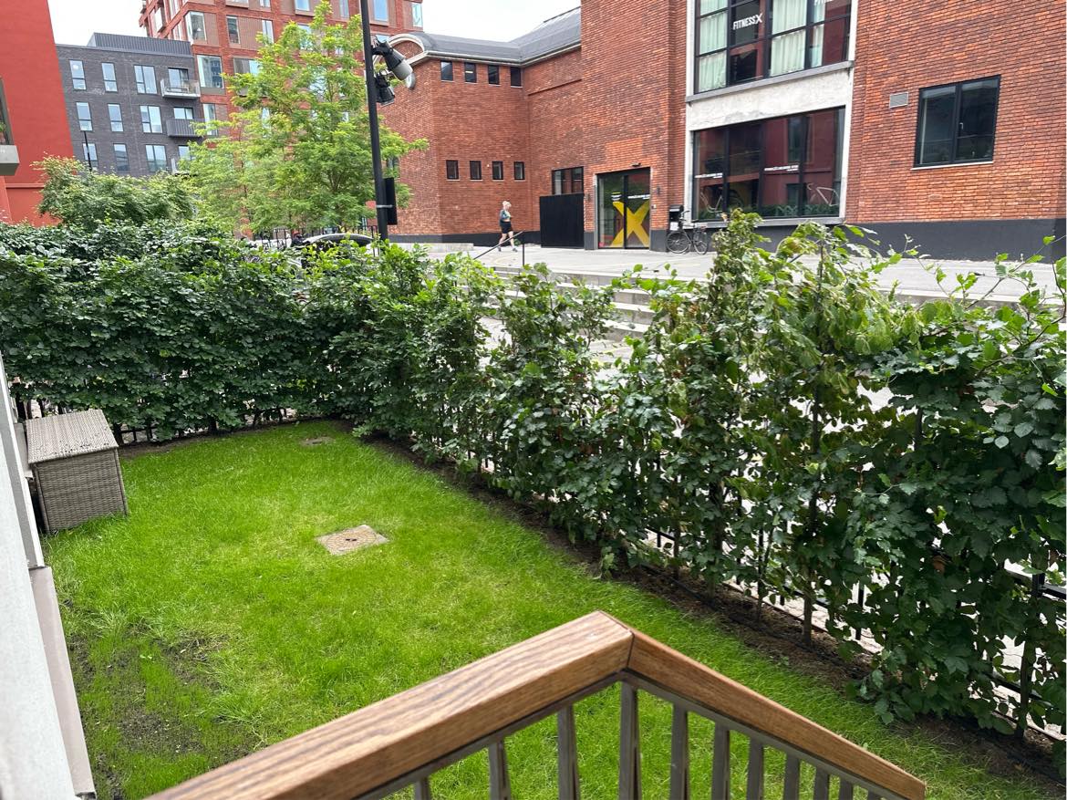 Hækklipning - bøgehæk