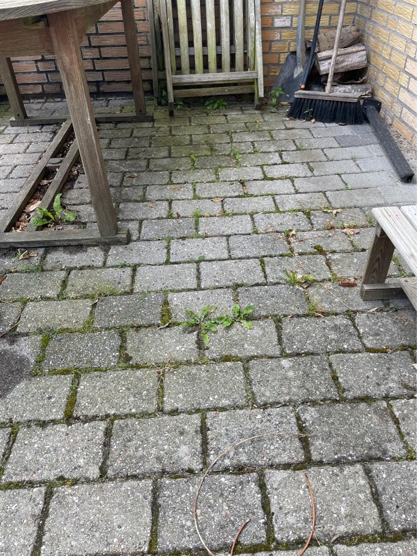 Fjernet ukrudt i indkørsel, og terrasse.