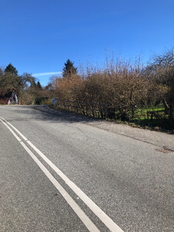 beskæring af ca. 3,5- 4 meter høj hæk. Den er ca. 30 meter lang