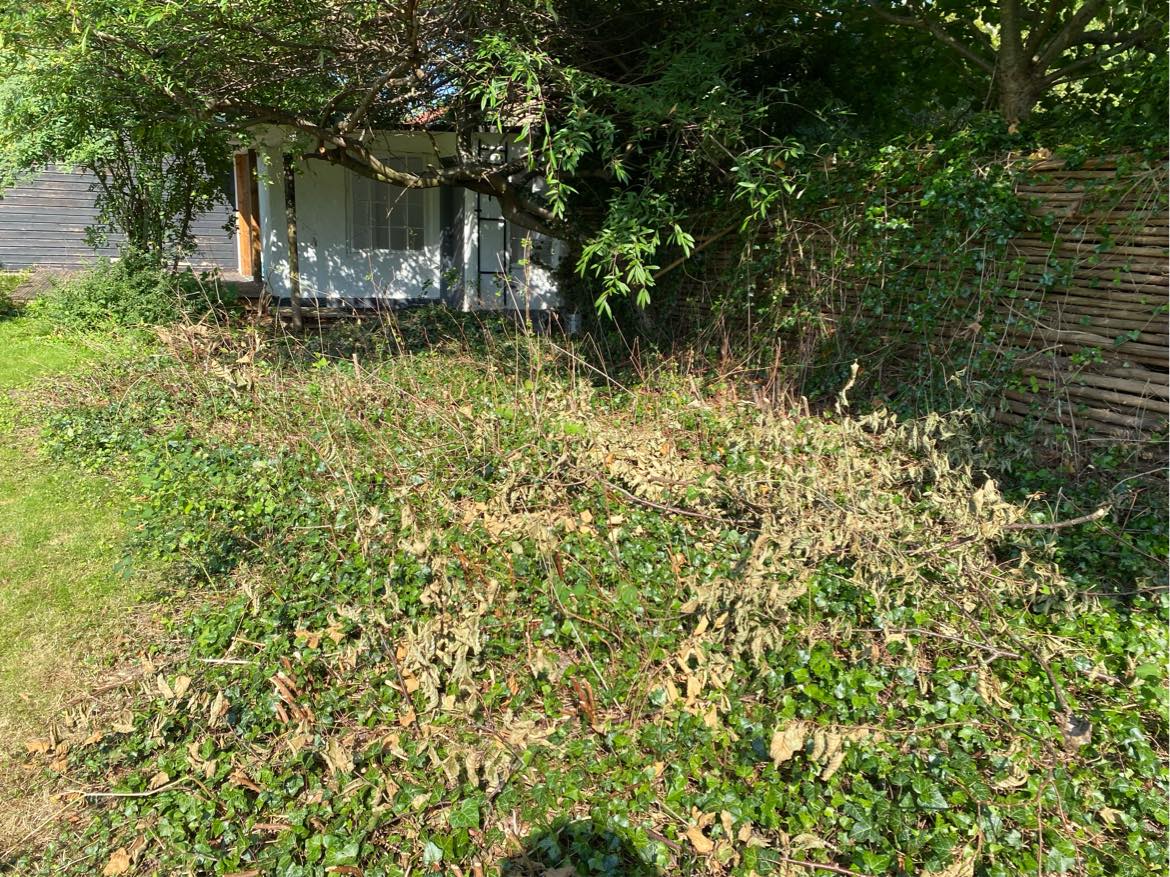 Udgraving af buske af 50 kvadrat meter have