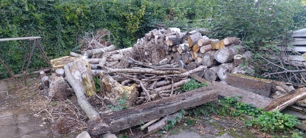 Opskæring og kløvning af stammer til brænde