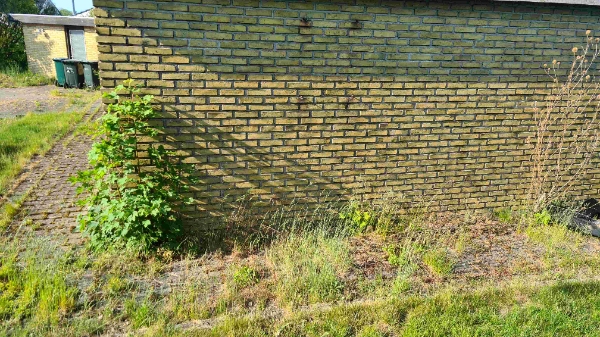 fjerne ukrudt og klippe hæk