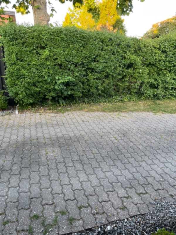 Ønsker et bud Lagt lidt fliser i indkørsel, der mangler et stykke