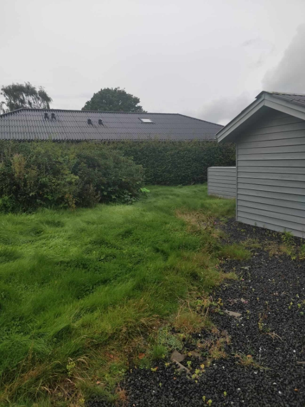 klipning af højt græs