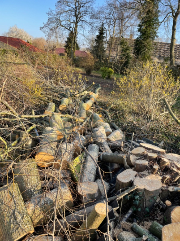 Afhentning af grene og træer