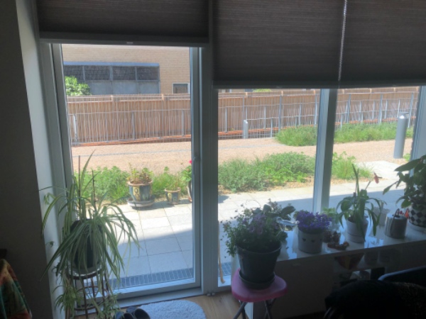 Vinduespudsning i lejlighed idag