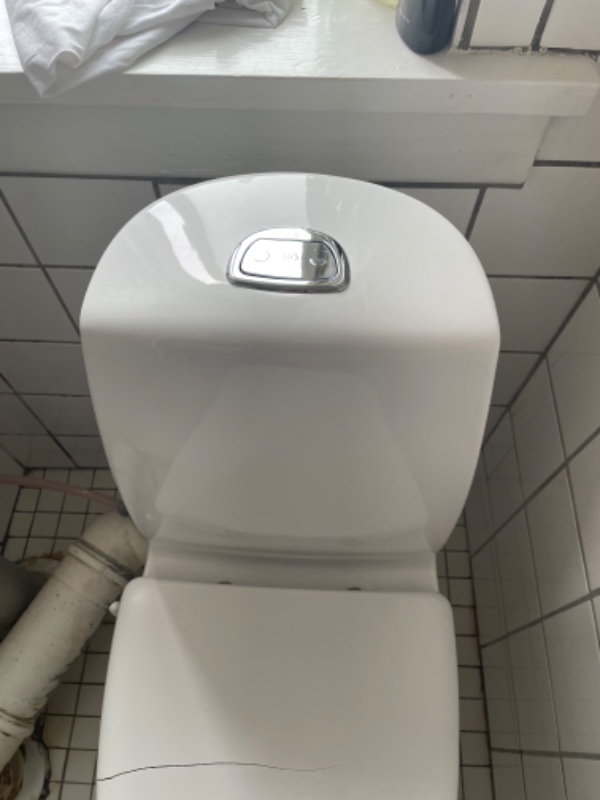 Skift af bruser til min håndvask og skift af toiletbræt
