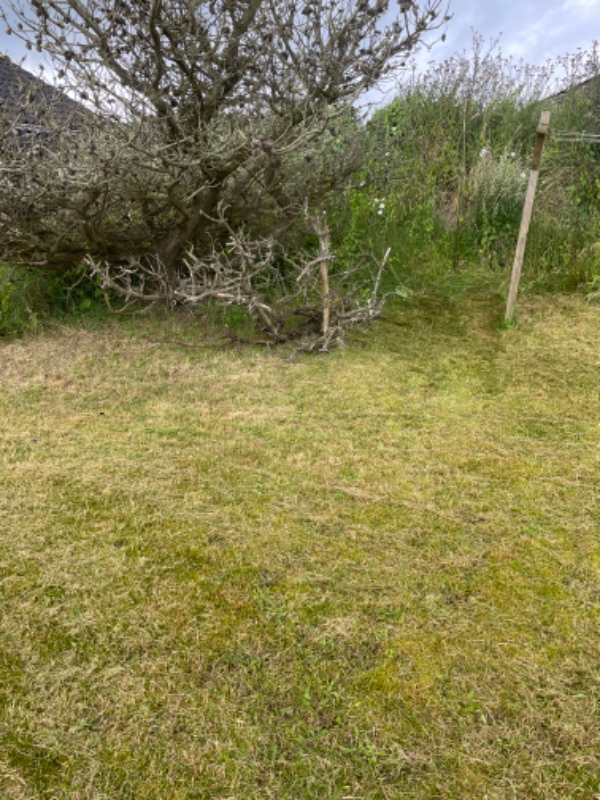 Bort kørsel af affald