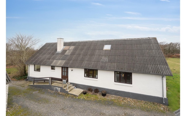 Udskiftning af eternittag