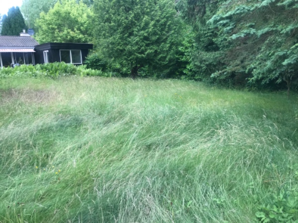 Græsslåning af højt græs 1000 m2