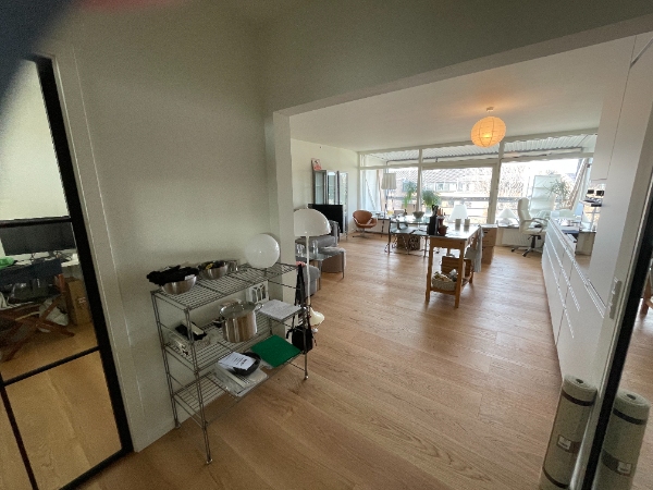 Forårsrengøring af lejlighed