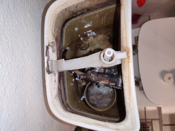 Udskiftning af toilet