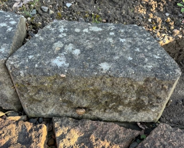 Transport af havefliser