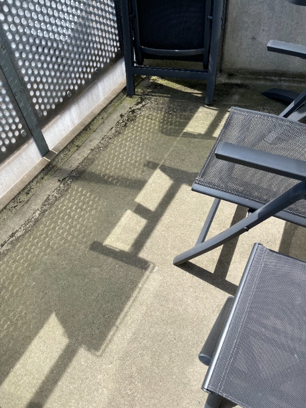 renset min altan med betongulv for alger