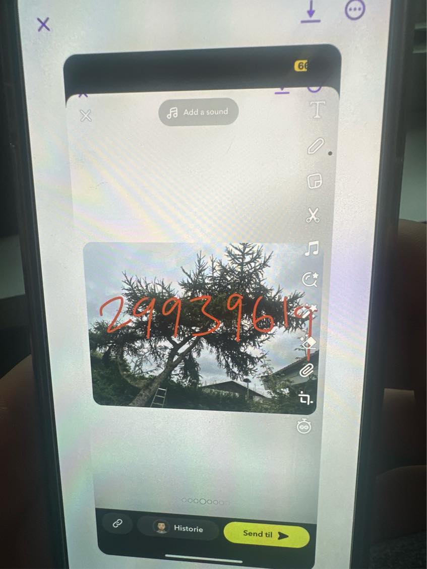 Skal have skåret 3 store grene ned fra et træ som det eneste resten klare jeg selv