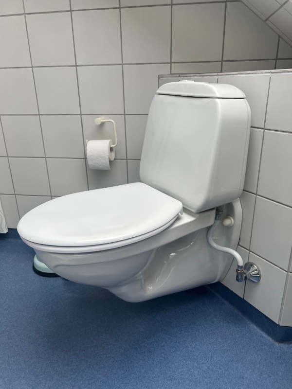 Udskiftning af 2 Gustavberg WC - er hjemkøbt.