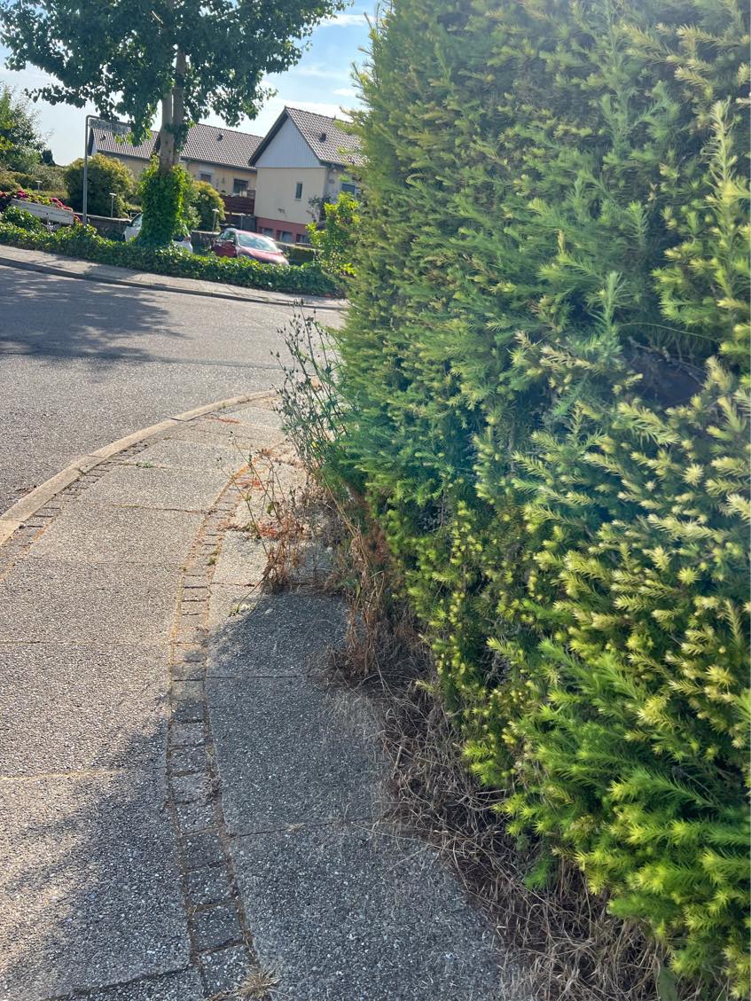 Havearbejde - ukrudtsbekæmpelse