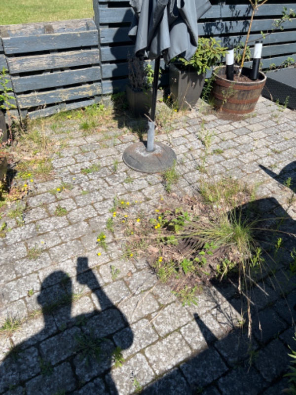 Haven skal gøres sommerklar