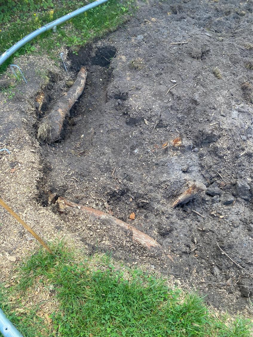 Nedgravning af trampolin