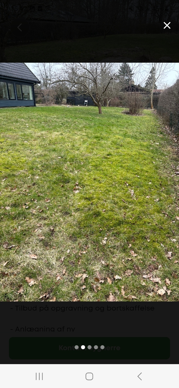 Genetablering af græsplæne