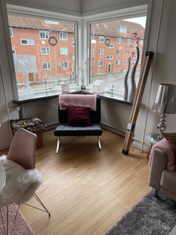 Jeg skal have hængt 2 aluminiums persienner op