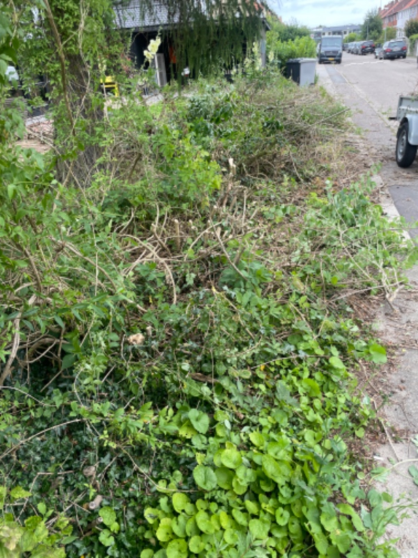 Fjernelse af hækkerødder