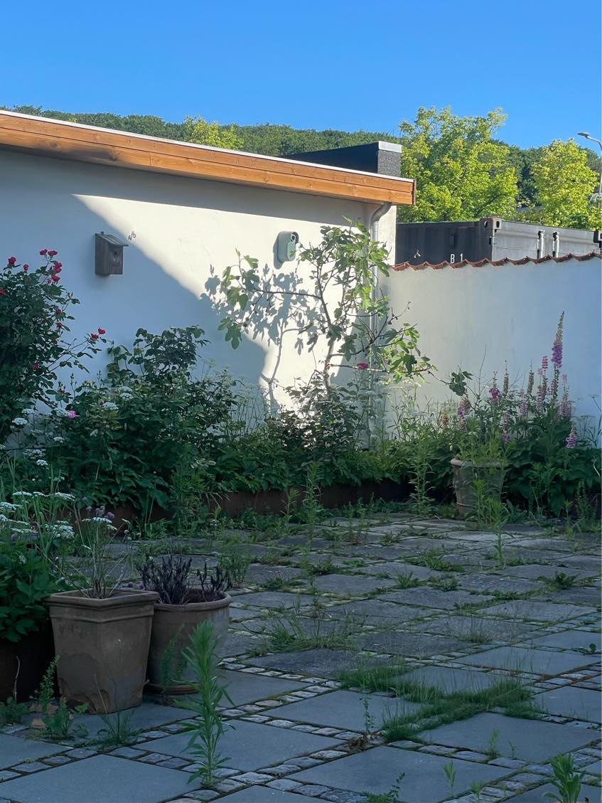 Klippe hæk og luge ukrudt