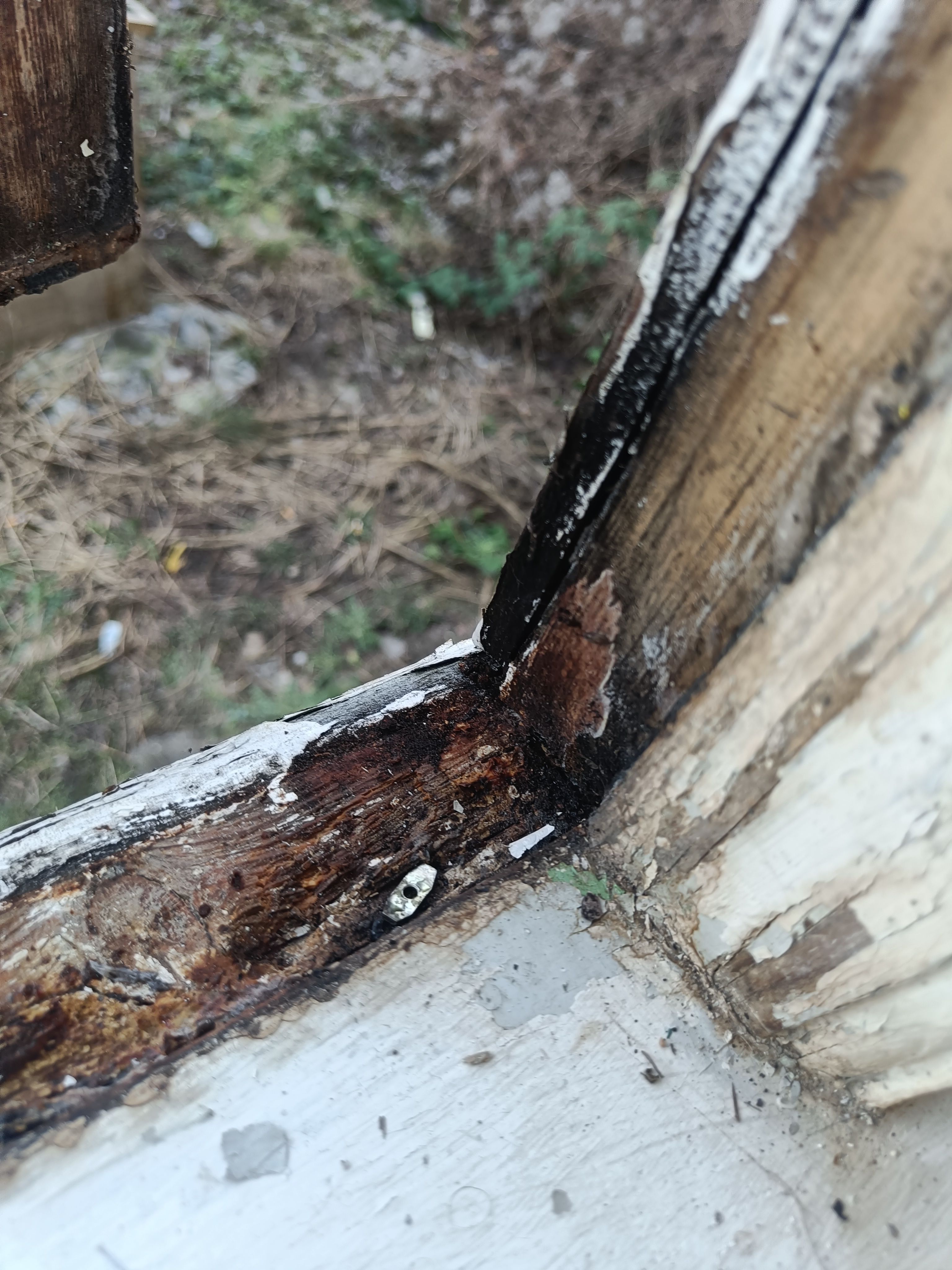 Skift af vindueskarme og 2 vinduer