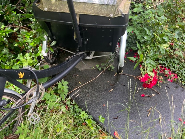 Fjernet byggeaffald, cykel mm fra have