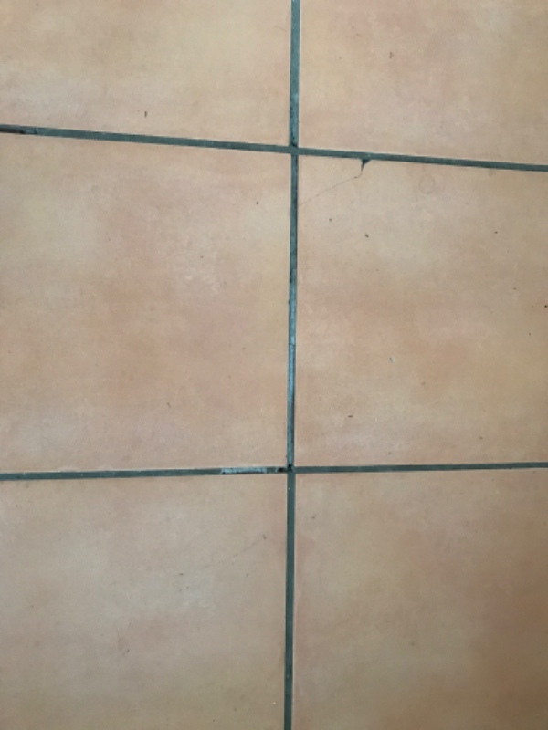 1) høvlet en havelåge, som binder. 2) skruet en vinduesliste fast. 3) Evt fuget nogle fliser,