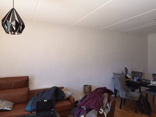 Vil have malet stuen og gangen. ca.40kvm. KUN maler med god erfaring