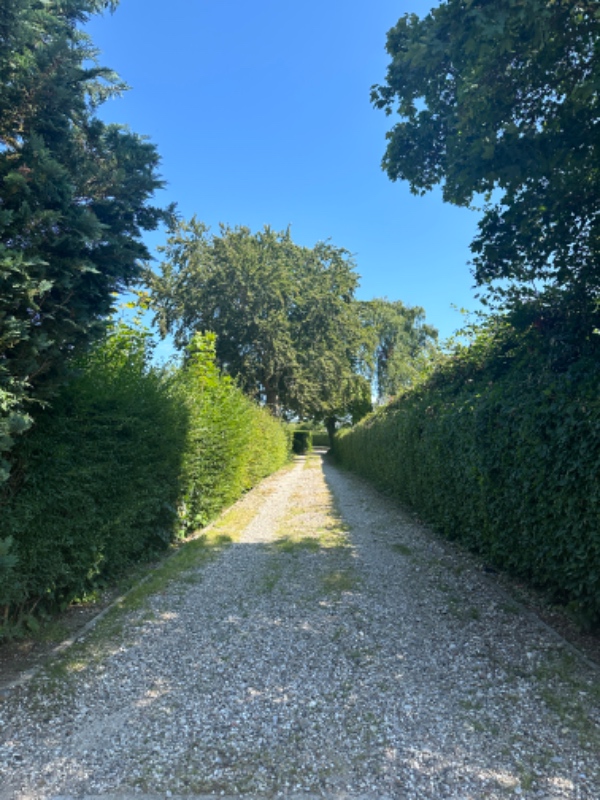 Klipning af hæk og fjerne ukrudt