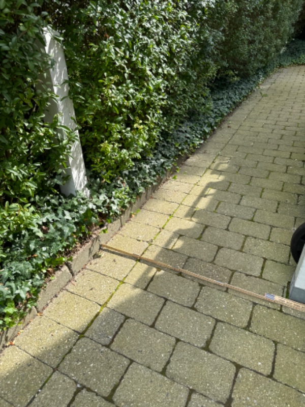 Fældning af æbletræ