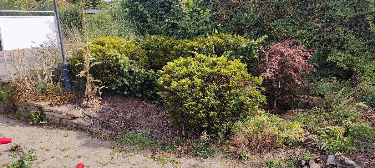 Omlægning af havesti