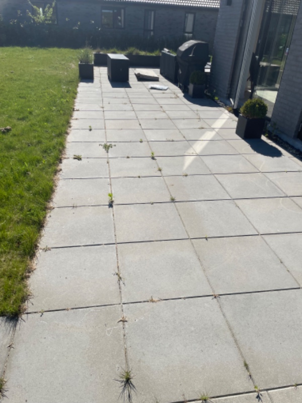 Fjernelse af ukrudt 500m2