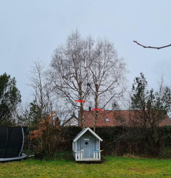 Ingen opgavebeskrivelse