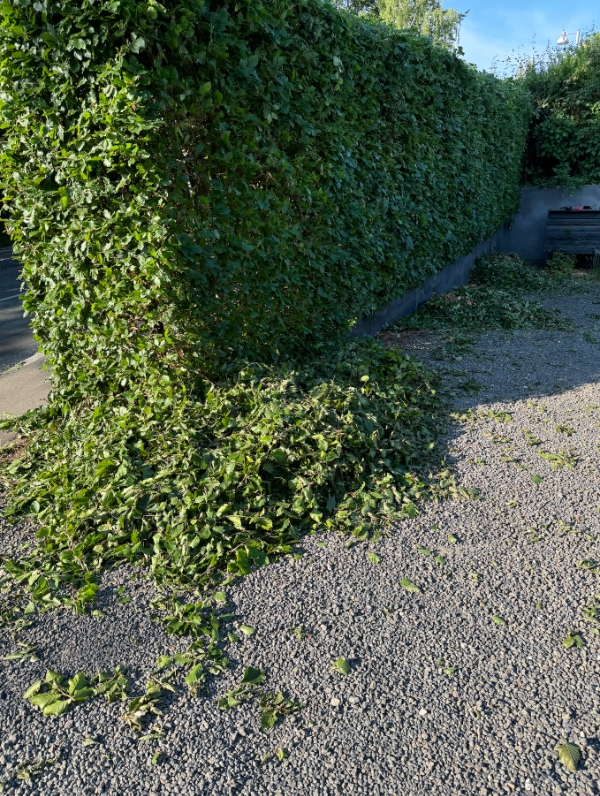 Afhentning af granaffald og grene