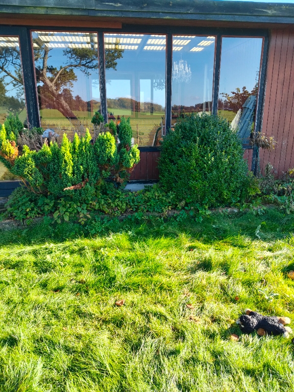 Have: Beskæring, nedrivning