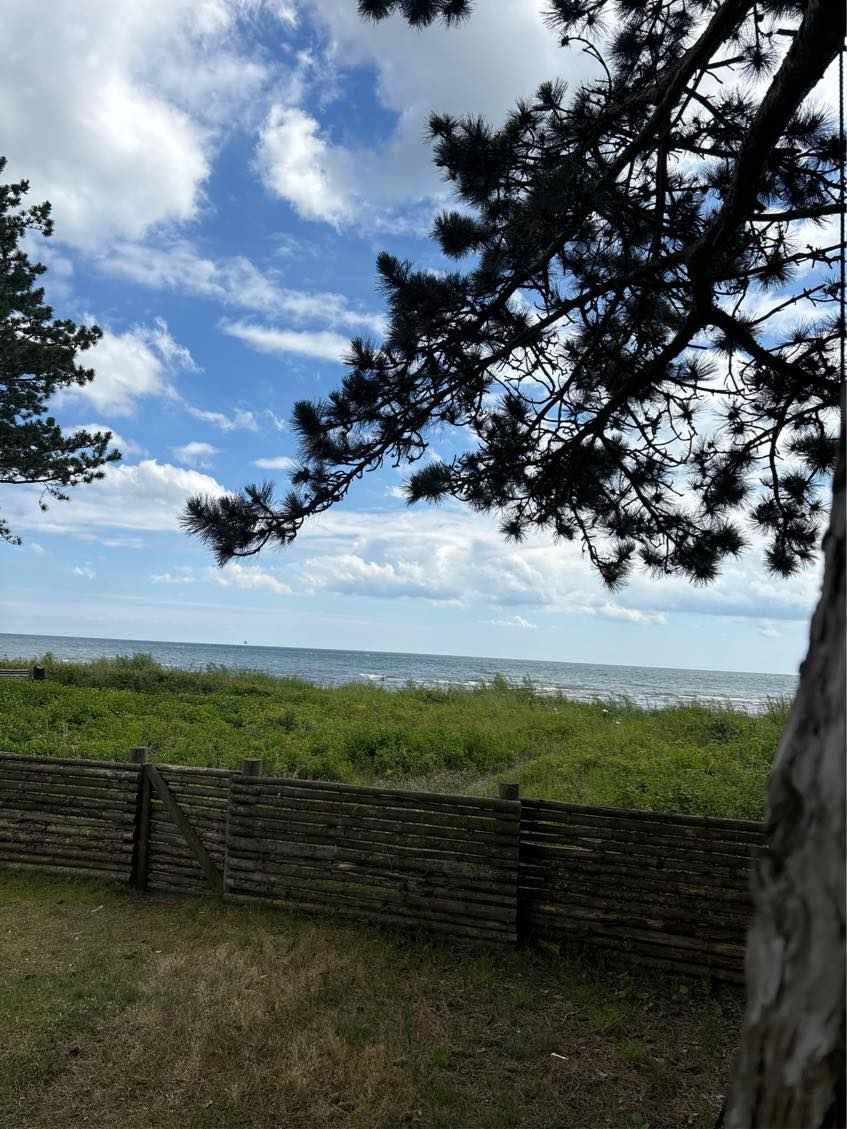 Rydning af have + bortskaffelse.