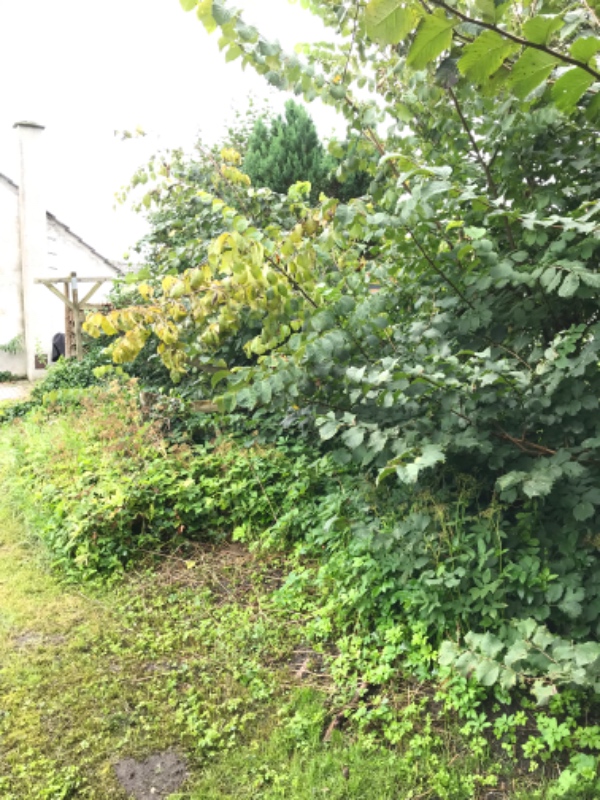 Havearbejde/ flisearbejde