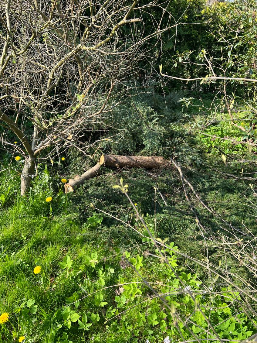 Kør haveaffald og profilbrædder på genbrugspladsen
