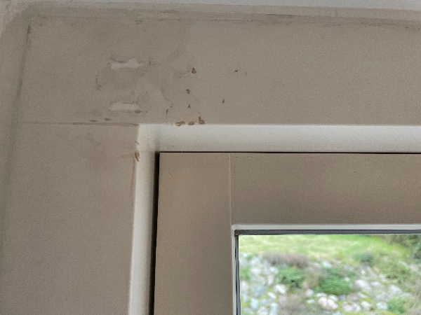 Delvis maling af 4 vinduesrammer