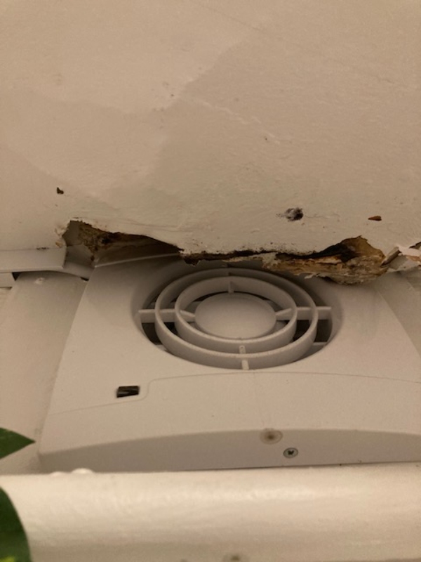 Ny loft i badeværelse