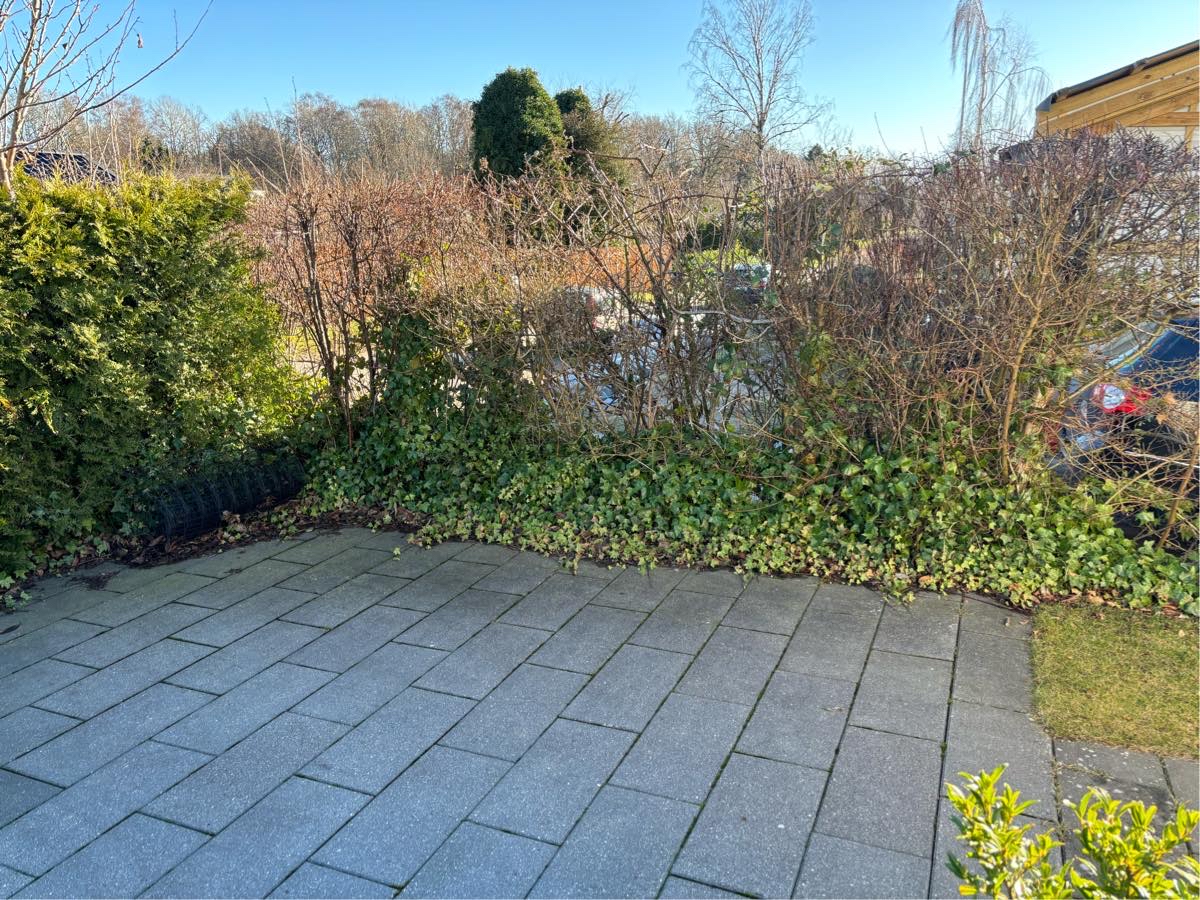 Jeg vil gerne have fjernet 10 meter hæk.