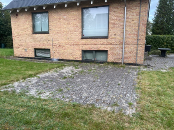 Ukrudt i indkørsel og have