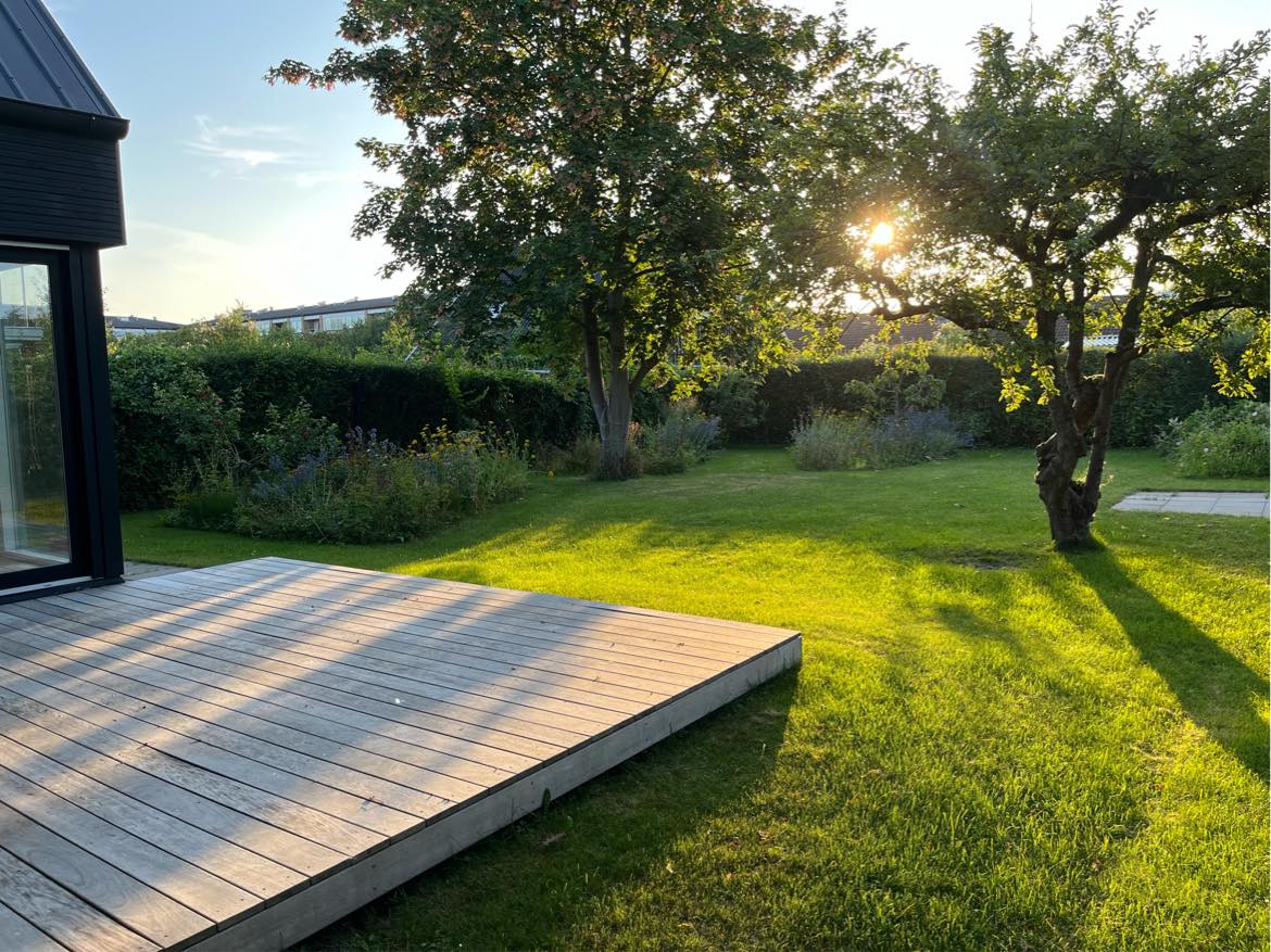 Klipning af hæk og græsplæne.