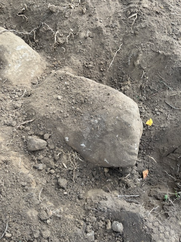 Opgravning og bortskaffelse af to store sten