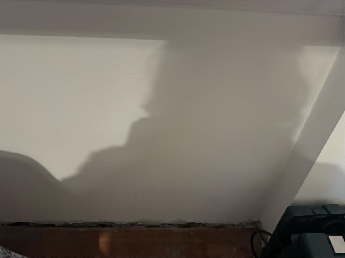 Tømrerarbejde/ spartling/ maling