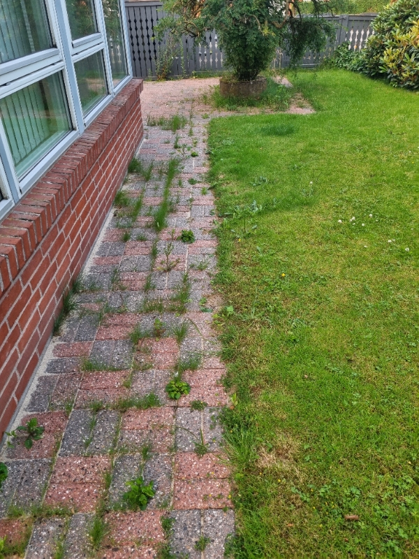 Hækklipning og ukrudtsfjernelse