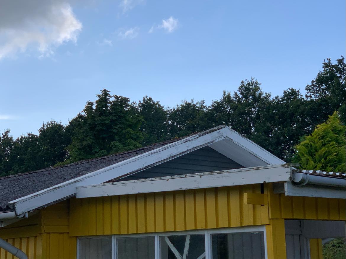 Maling af endegavl på kolonihave